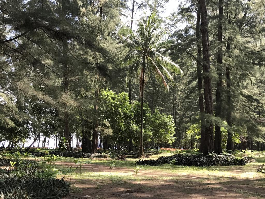 Coconut Bungalow Nai Yang Ngoại thất bức ảnh