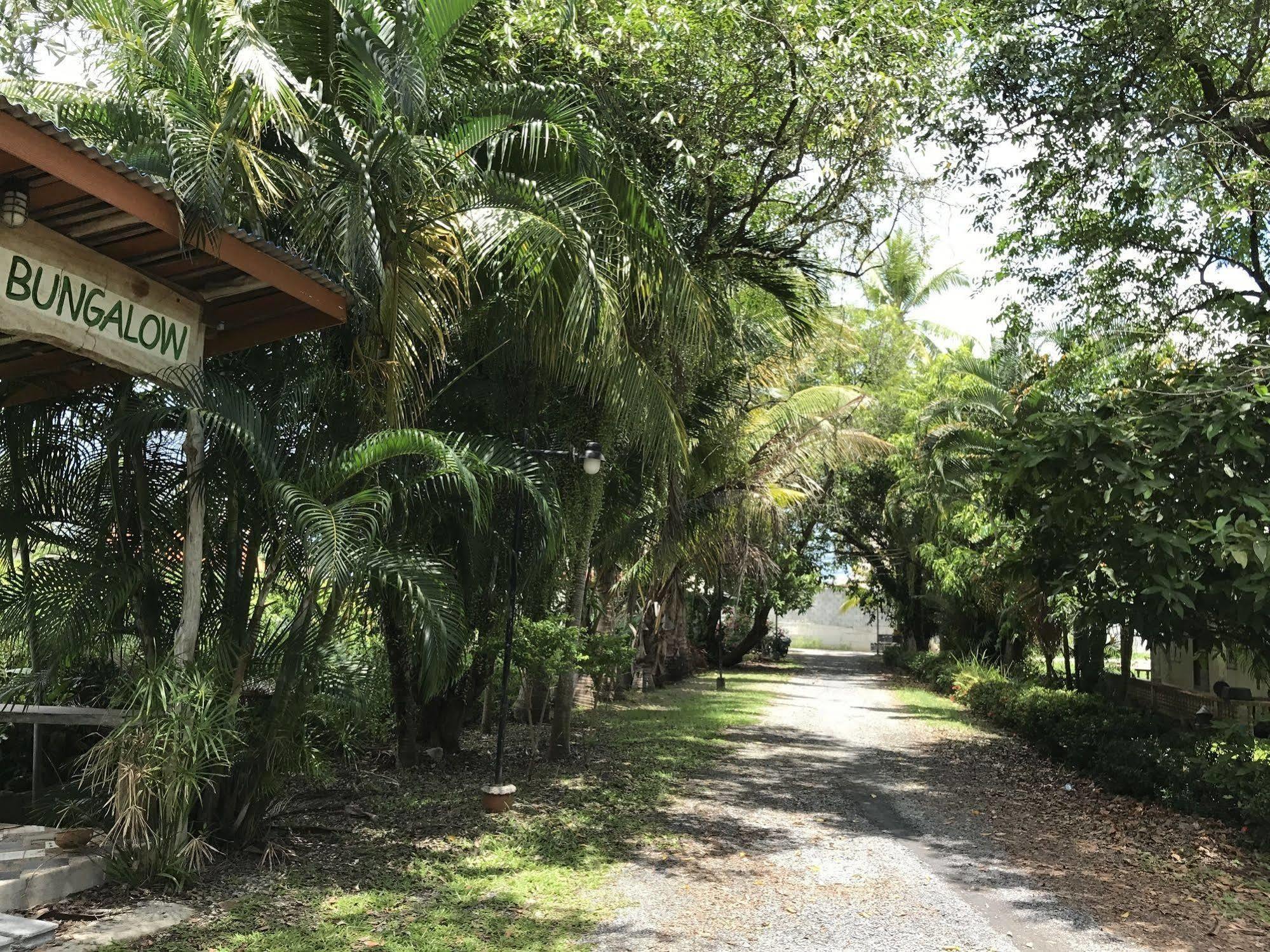 Coconut Bungalow Nai Yang Ngoại thất bức ảnh